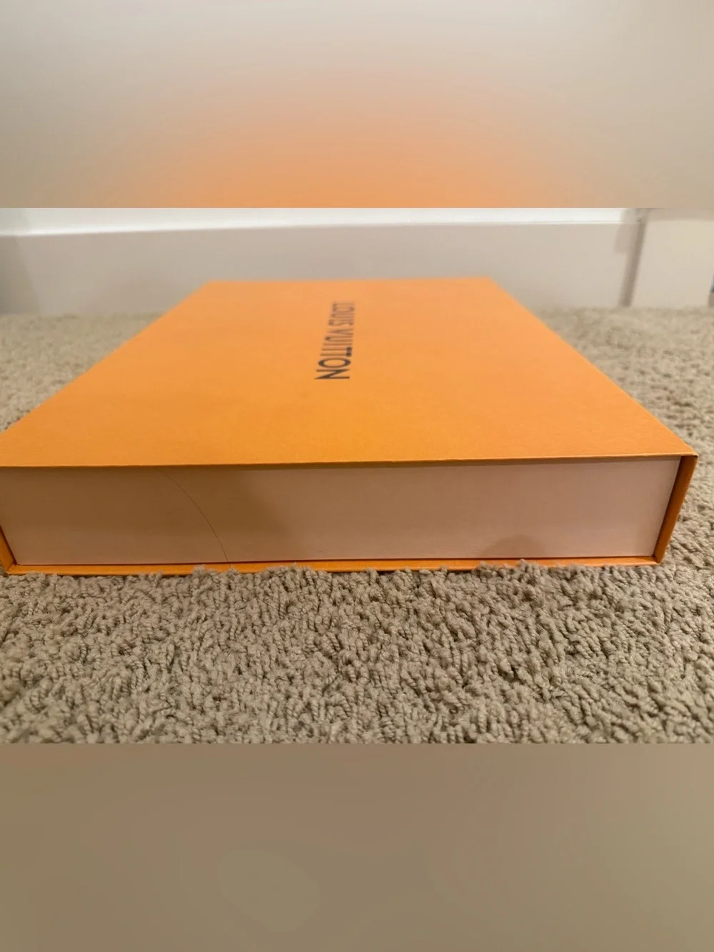 Louis Vuitton authentic louis